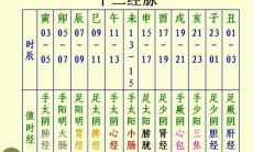 五行经络减肥有用吗（五行经络减肥）