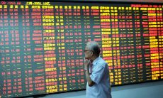 招财大牛猫写错啥了（招财大牛猫老婆本人）