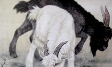 2004年什么生肖犯太岁（2004年犯太岁的生肖）