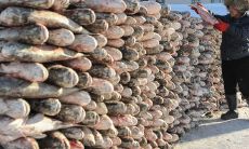 日柱自坐沐浴（八字沐浴的意思是什么）