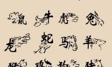 90年属马31岁运势（属马人31岁运势）