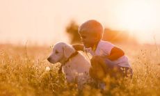 佛教对缘分的解释（佛学解释缘分）