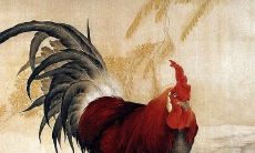 晚年最命苦的生肖女（一生劳碌命苦的三大生肖女）