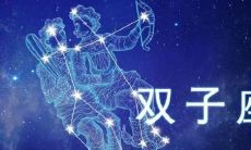 双子座详细分析（双子座的优点）
