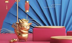 属牛的2023年可以养猫吗（什么属相不能养猫）