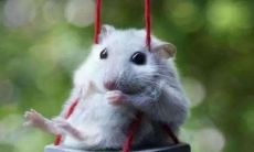 桃花运差的属相（属相相差6岁是不是相冲）