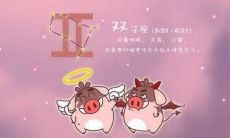 双子座和射手女配吗（射手男和双子女座配吗）