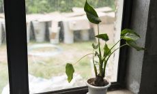 属羊的家里摆放羊摆件好吗（属羊的人干什么最挣钱）