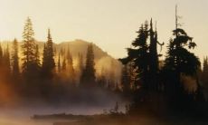 胡姓属牛男孩名字（属牛胡姓取名）