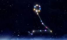 双鱼座爱听什么东西（双鱼座最喜欢什么礼物）