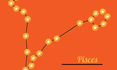 双鱼座男对待爱情专一吗（双鱼男对待感情专一吗）