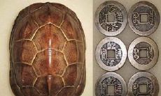 关于占卜的即兴评述（互联网算命即兴评述）