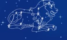 双鱼座2023年的爱情运势（双鱼座2023年桃花运）