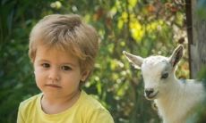 景字在五行的属性是什么（景字五行到底属什么）