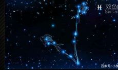 和双鱼座交往的心理（双鱼座的男生对待感情）