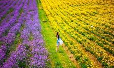 双鱼座会喜欢什么（双鱼座女生喜欢什么礼物）