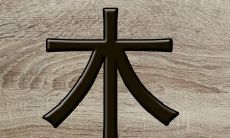 怎么测算自己的五行木命（木狗命五行缺什么）