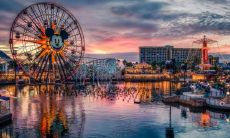 为什么查星座运势那么准（星座运势到底准不准）