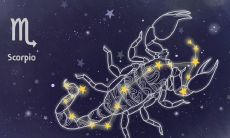 十二粒米占卜（星座占卜测试）