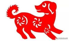 1970属狗人2023运气（82属狗未来5年运势）