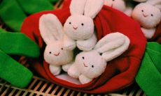 女属兔的性格特点（属猪女的性格特点）