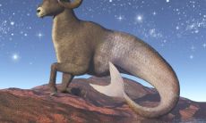 摩羯女今年的爱情运势2023（对付摩羯女就一个办法）