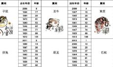 出生年月属相年龄对照表（月份生肖对照表属相）