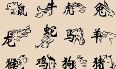 属相是按立春还是按春节（属相按立春还是除夕）