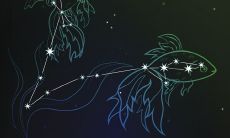 陶白白星座分析2023双鱼座（双鱼座陶白白）