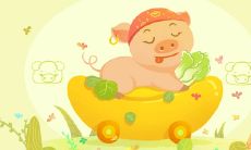 属猪幸运号码是什么数字组合（属猪的幸运号码是多少）