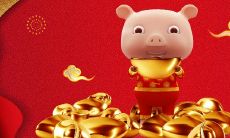 明年属猪的财运怎么样（属猪人跟谁一起财运好）