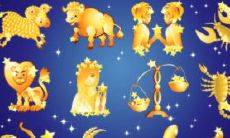 狮子座2023年8月11日运势（2023年狮子座今日运势）