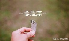 水瓶女报复起来太狠（水瓶女离开时有多狠）