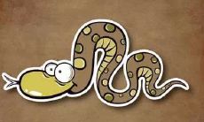 属相是蛇的性格特点（属蛇人的感情性格特点）