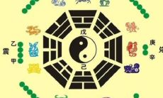 属相与天干地支（八字天干地支的代表意义）