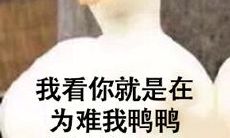 双子座与双鱼座婚姻配对（双子座和双鱼座最配对）