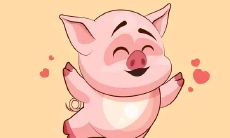 属猪人逢虎年（属猪的虎年破太岁怎么化解）