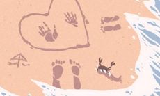 属虎女配属龙男能过一辈子吗（男属虎女属龙婚姻配吗）