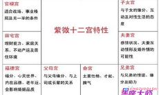 紫微斗数兄弟宫代表什么（紫微斗数命宫详解）