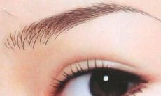 男人眉毛长的面相（眉毛细长的男人面相）