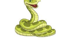 属羊的学什么最好（属羊适合学什么技术）