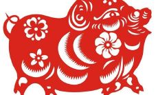 95年属猪的大5岁属啥（1995年属猪什么时候会有孩子）