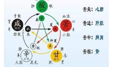 五行属火的东西（五行属火的风水摆件）