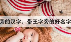 2023年新生儿起名可以用王字旁吗（属猪的新生婴儿怎样起名字）