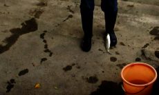 日柱为丁火是什么意思（丁火日主八字详解）