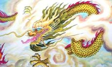 属龙人命好吗（属羊的人命好不好）