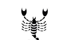 纯天蝎座的区间（天蝎座的四个星区）