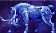 背叛金牛座要怎么才能原谅（金牛座失望了能挽回吗）