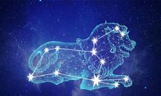 什么星座和狮子座最搭配（狮子座和哪个星座最合适）