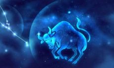 金牛男见到暗恋的女生（金牛男喜欢你的8个预兆）